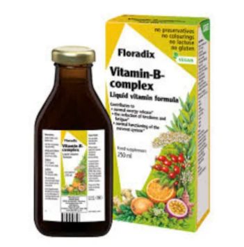 Floradix Vitamin B Complex - 250ml - Vegan