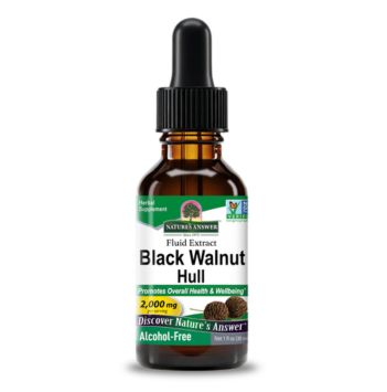 Black Walnut Hull Extract - Alcohol Free Liquid