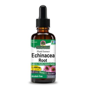 Echinacea Root
