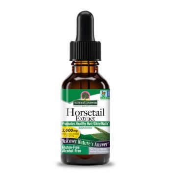 Horsetail Herb