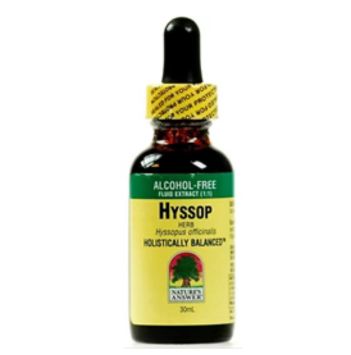 Hyssop Herb
