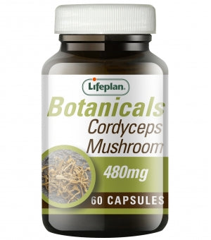 Cordyceps Mushroom x 60 Capsules