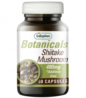 Shiitake Mushroom x 60s