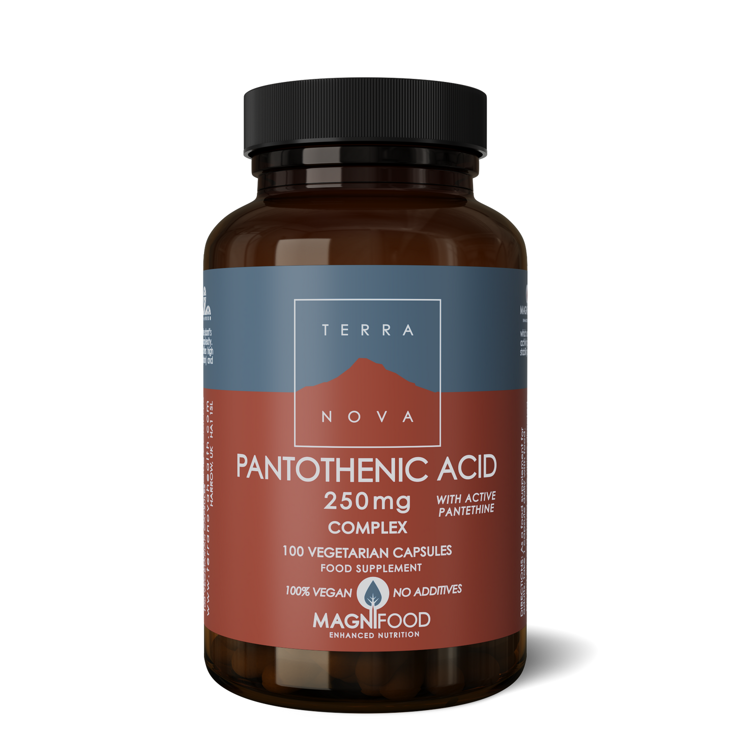 Pantothenic Acid (with Pantethine) 250mg -100