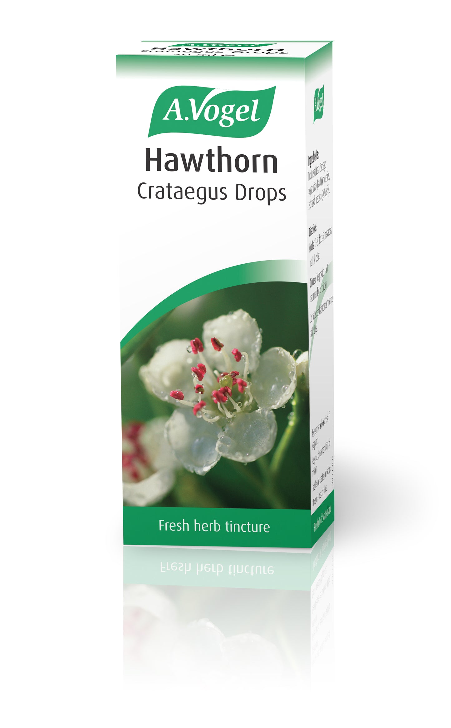 Hawthorn (Crataegus)