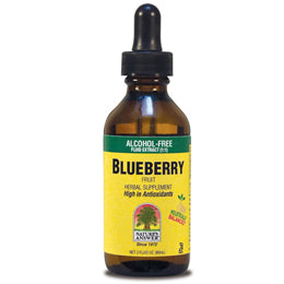 Nature`s Answer Blueberry Fruit - High Antioxidant - 60ml
