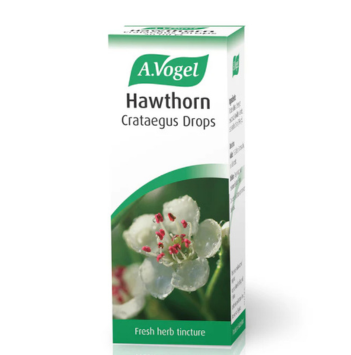 Hawthorn (Crataegus)