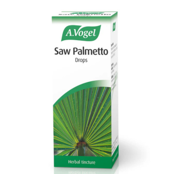Saw palmetto