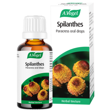 Spilanthes oral drops