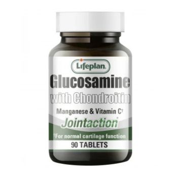 Glucosamine with Chondroitin 90s