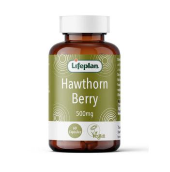 Hawthorn 500mg x 60