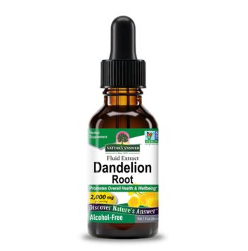 Dandelion Root