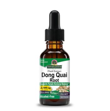 Dong Quai Root