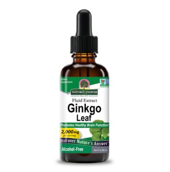 Ginkgo Biloba Leaf