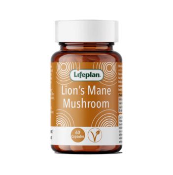 Lion's Mane Mushroom