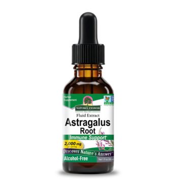 Astragalus Extract - Alcohol Free Liquid