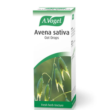 Avena sativa