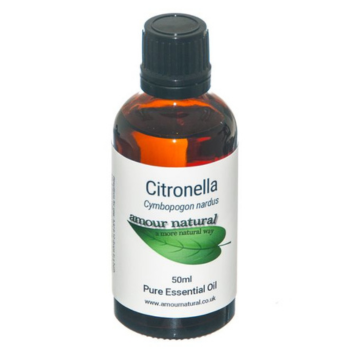 Citronella