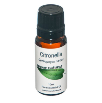 Citronella
