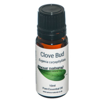 Clove Bud