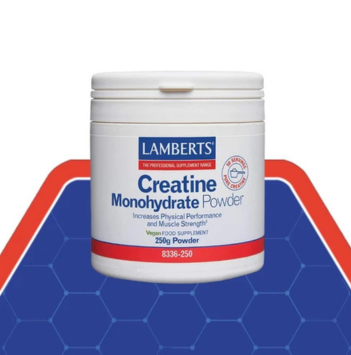 Creatine Monohydrate Powder