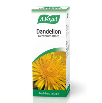 Dandelion
