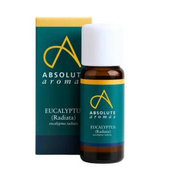 Eucalyptus Radiata 10ml