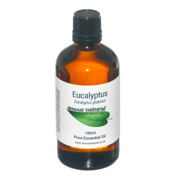 Eucalyptus