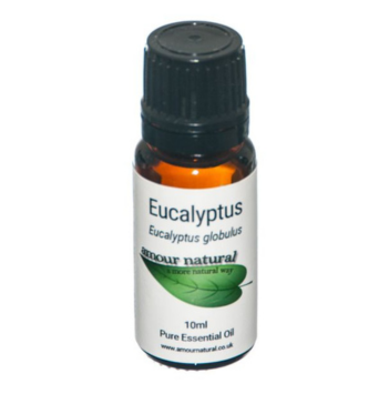 Eucalyptus