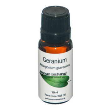 Geranium