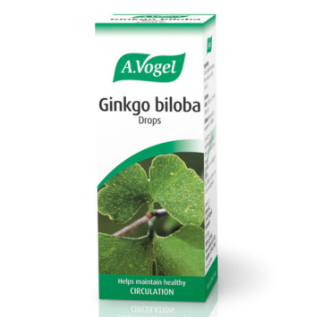 Ginkgo biloba