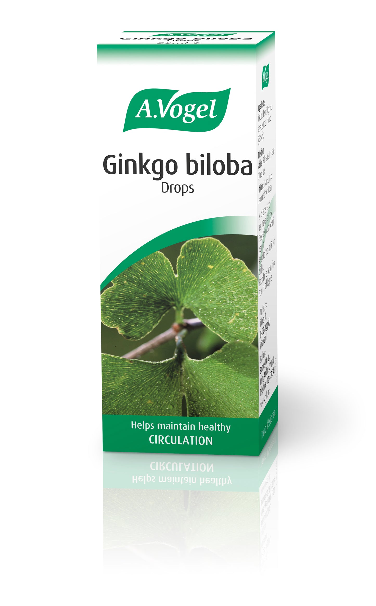Ginkgo biloba 100ml