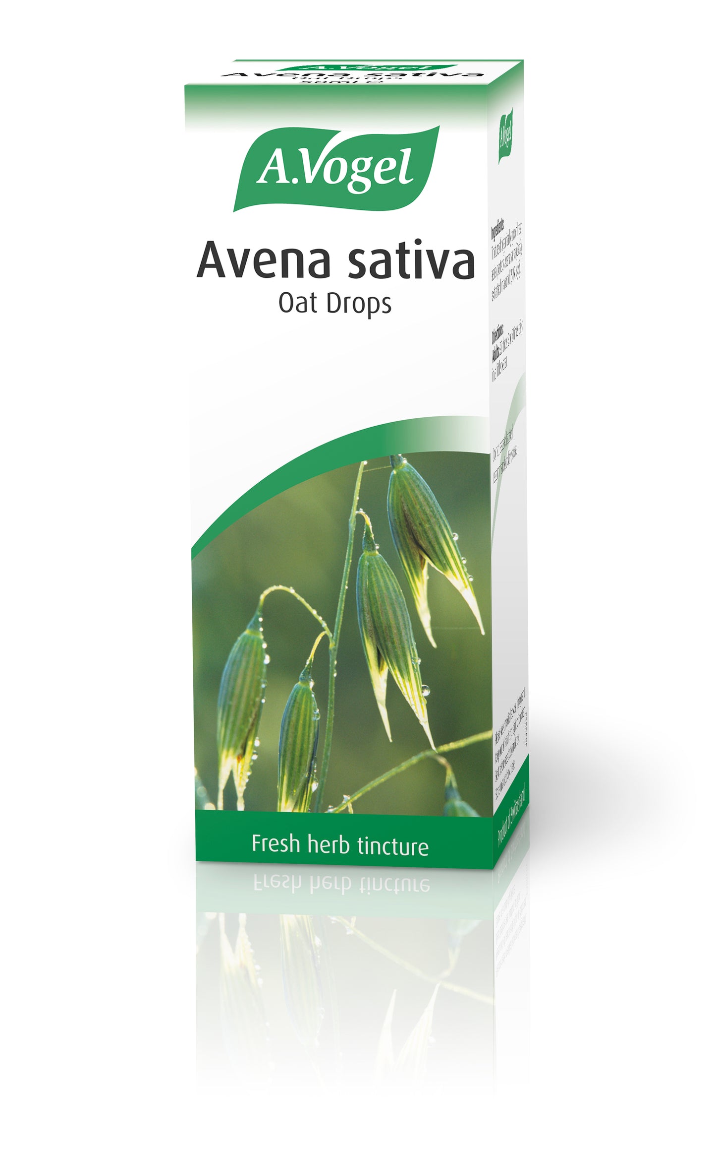 Avena sativa
