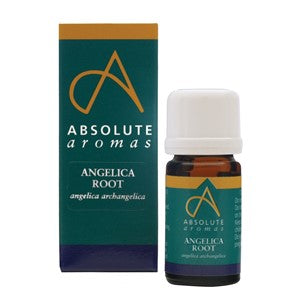 Angelica Root Oil (angelica archangelica)