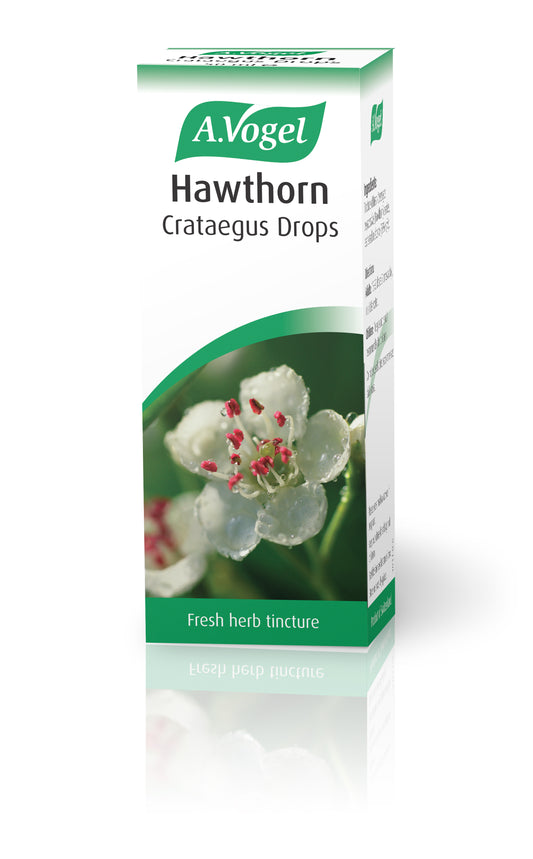 Hawthorn (Crataegus)
