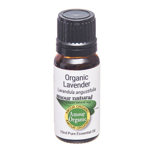 Lavender, organic
