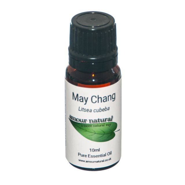 May Chang (Listea Cubeba)