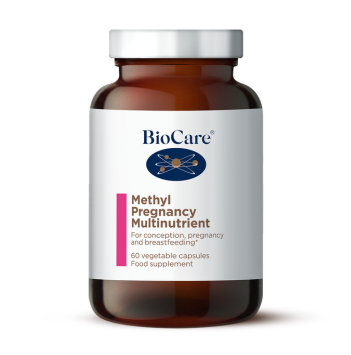 Methyl Pregnancy Multinutrient - 60 Capsules