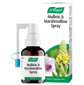 Mullein and Marshmallow Spray