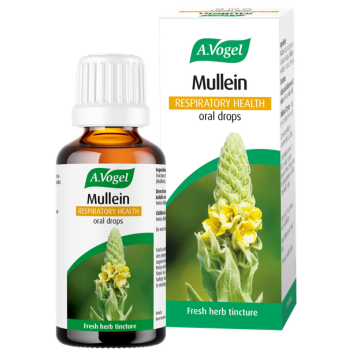 Mullein Respiratory Health oral drops